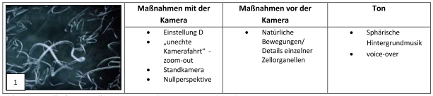 Abb. 1: Beispielhafte Darstellung eines Ausschnitts eines Storyboards.
